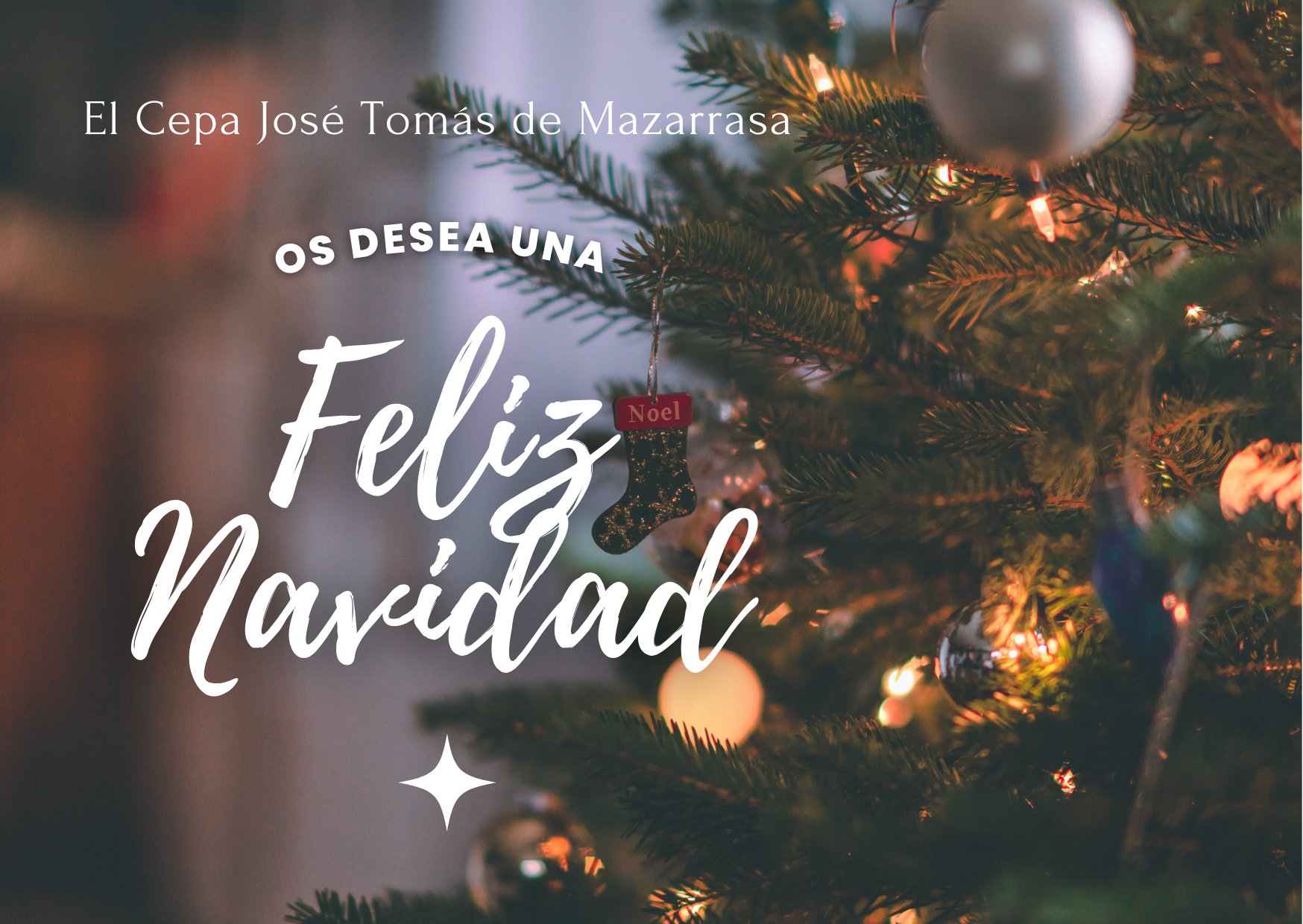 Felicitación Navidad  25-26 2